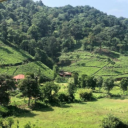 Janiro Tea Trees Villas 维特利 外观 照片