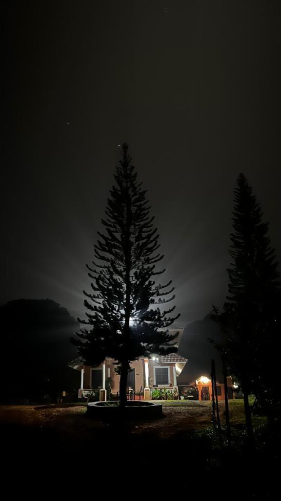 Janiro Tea Trees Villas 维特利 外观 照片