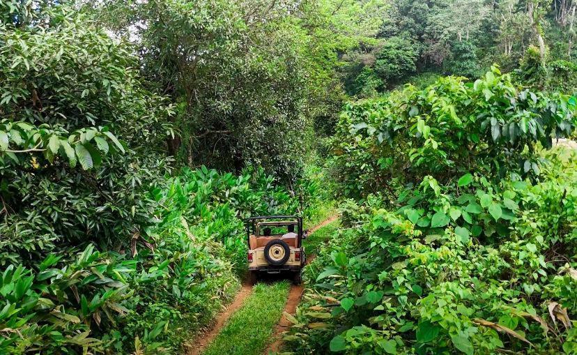Janiro Tea Trees Villas 维特利 外观 照片