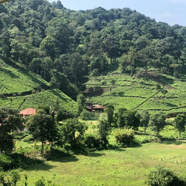 Janiro Tea Trees Villas 维特利 外观 照片