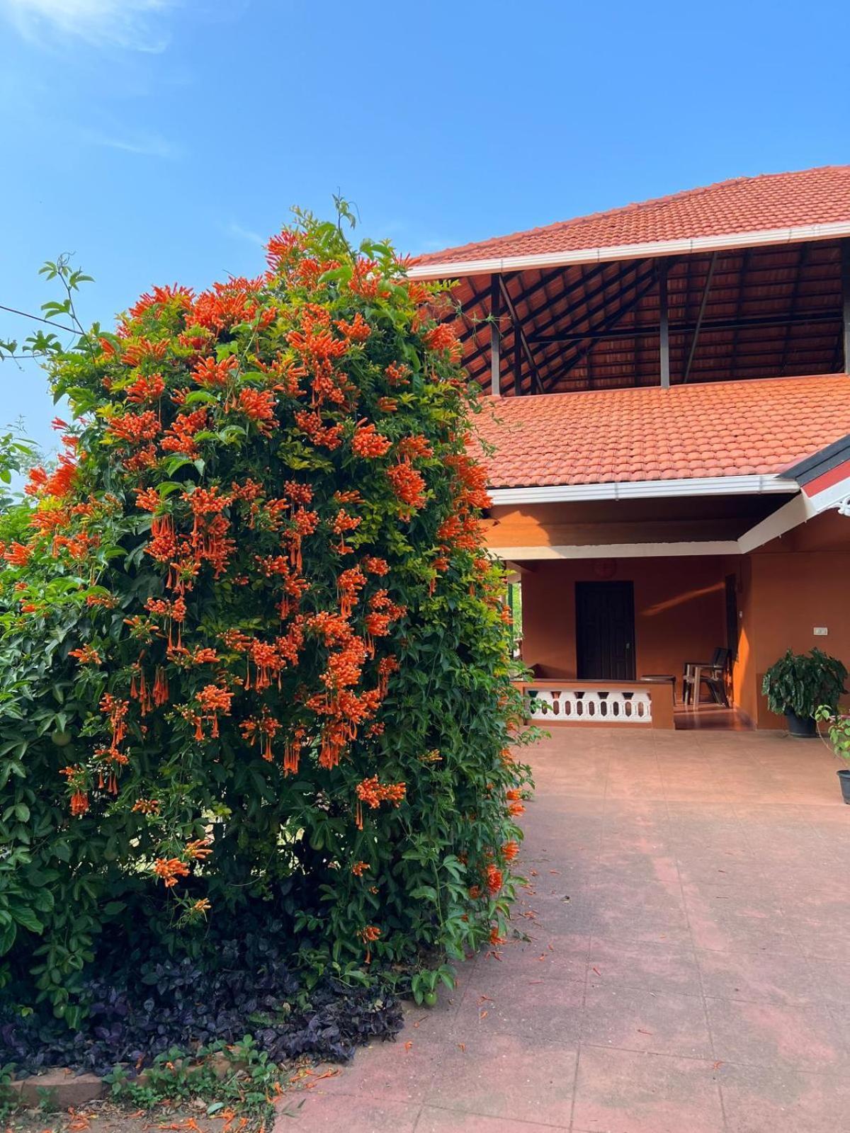 Janiro Tea Trees Villas 维特利 外观 照片